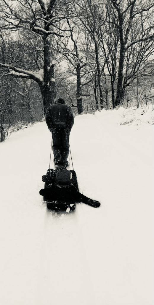 father pulling children in snow sled